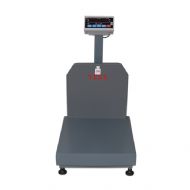 300 Kg 50x60 Cm Tartım Baskülü