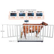 2000 Kg 110x200 Cm Canlı Hayvan Baskülü